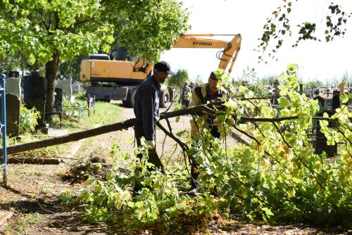Жители Камских Полян привели кладбище в порядок