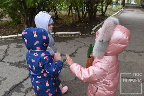 Праздник золотой осени в детском саду «Огонёк»