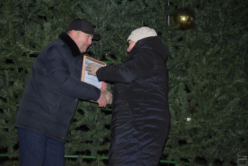 Торжественное открытие главной ёлки в Камских Полянах