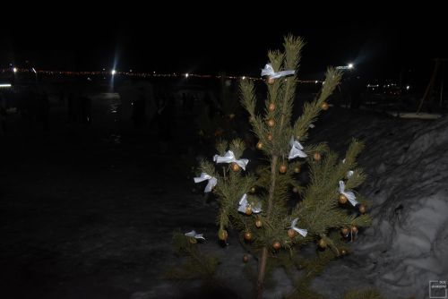 Торжественное открытие главной ёлки в Камских Полянах
