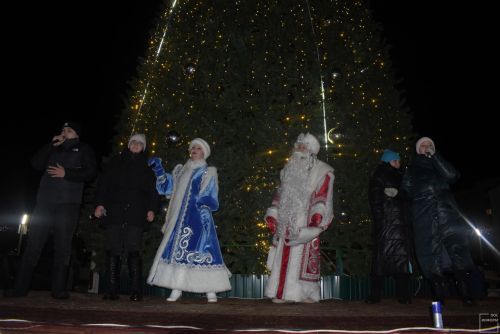 Торжественное открытие главной ёлки в Камских Полянах