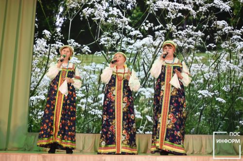 В Камских Полянах состоялся фестиваль национальных культур «Единая семья - Россия»