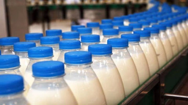 Татарстан лидирует по объемам реализации молока за сутки среди регионов России