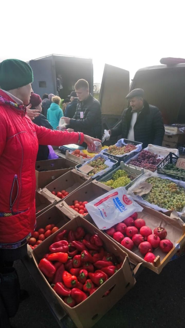 Завтра в Камских Полянах состоится сельскохозяйственная ярмарка