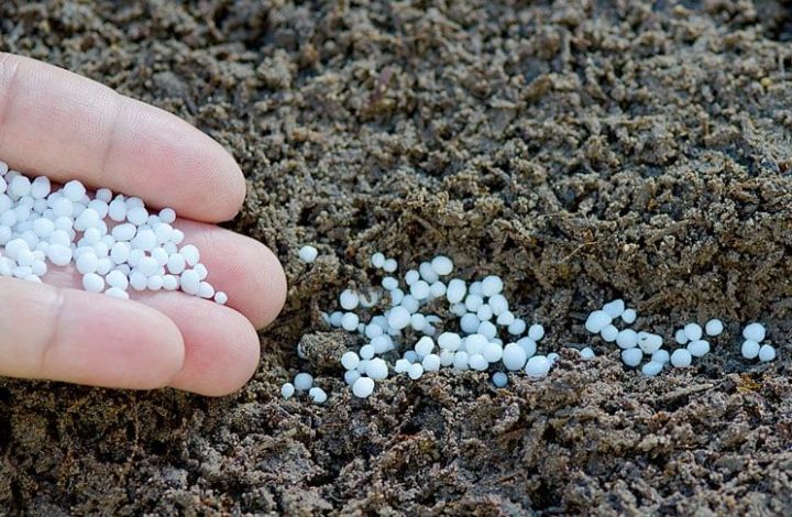 Аграриям Татарстана выделят 1,5 млрд.руб. субсидий на приобретение минеральных удобрений