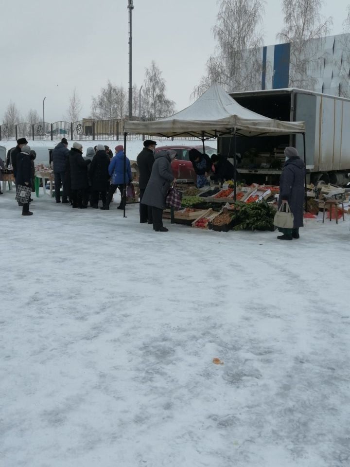 В Камских Полянах проходит сельскохозяйственная ярмарка