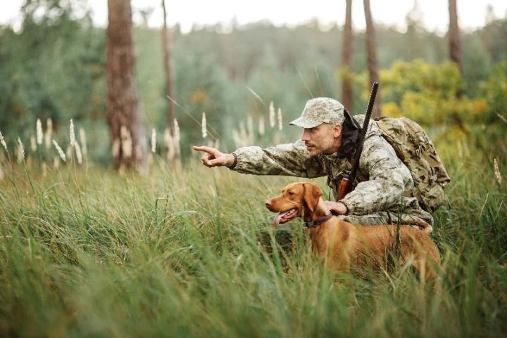 Будни охотников: С 1 августа вступают в силу поправки в ФЗ "О животном мире" и "Об охоте"