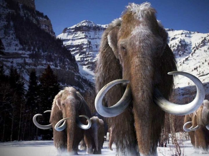 Команда ученых из США предложила возродить в России мамонтов