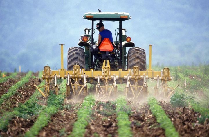 Глава Ассоциации фермеров РТ: «Некоторое время субсидии доходили, а сейчас - перестали»