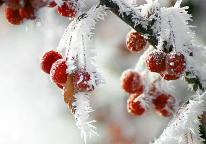 В Татарстане в выходные дни ожидаются морозы до -28 градусов