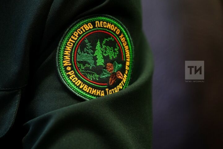 Министерство лесного хозяйства Республики Татарстан напоминает о следующем