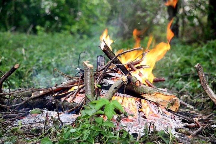 Госкомитет РТ по биоресурсам напоминает о необходимости соблюдать правила пожарной безопасности на природе