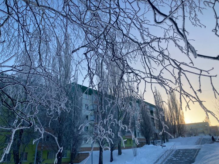11 января: Чем знаменателен день