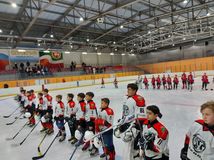 В ледовом дворце «Олимпия» прошло Первенство РТ по хоккею среди команд юношей 2010 г.р.