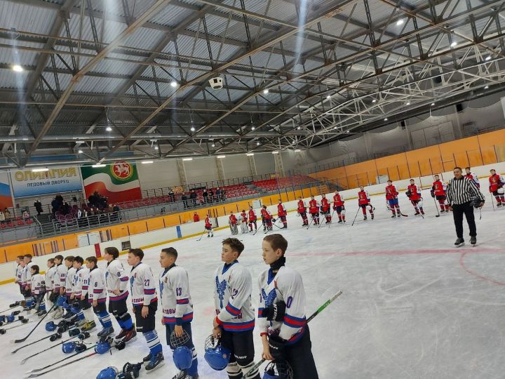 В ледовом дворце «Олимпия» прошло Первенство РТ по хоккею среди команд юношей 2010 г.р.