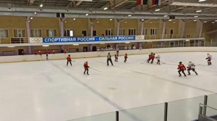 Камполянские хоккеисты стали победителями соревнований в Первенстве РТ в г. Чистополь