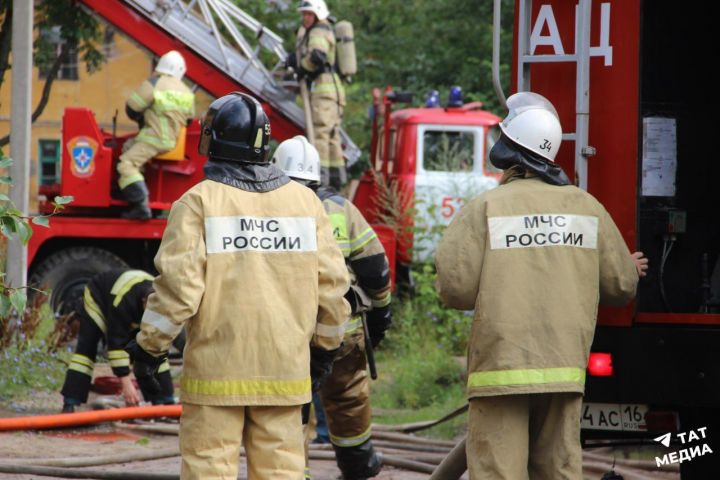 Минлесхоз РТ: Фермеров, по чьей вине в лесу вспыхнул пожар, лишат субсидий