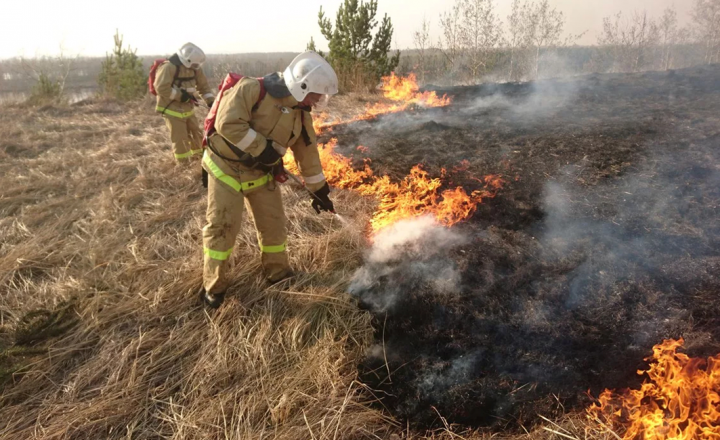 Управление Россельхознадзора по Республике Татарстан предупреждает: весенний пал ведет к неуправляемому распространению огня и уничтожению плодородного слоя почвы!