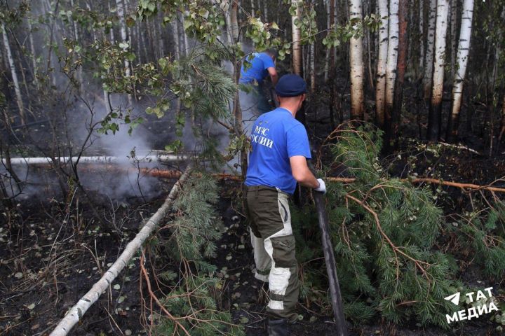 В Татарстане продлено штормовое предупреждение из-за опасности лесных пожаров
