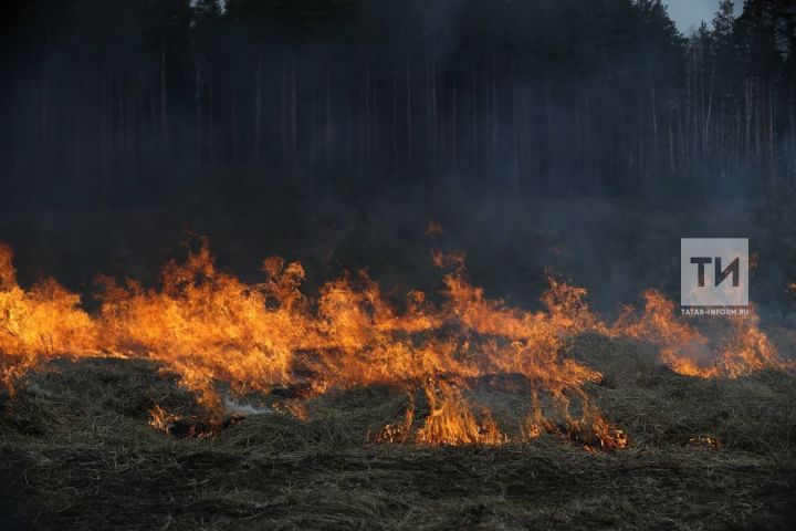 Названы районы Татарстана с наибольшей угрозой лесных пожаров