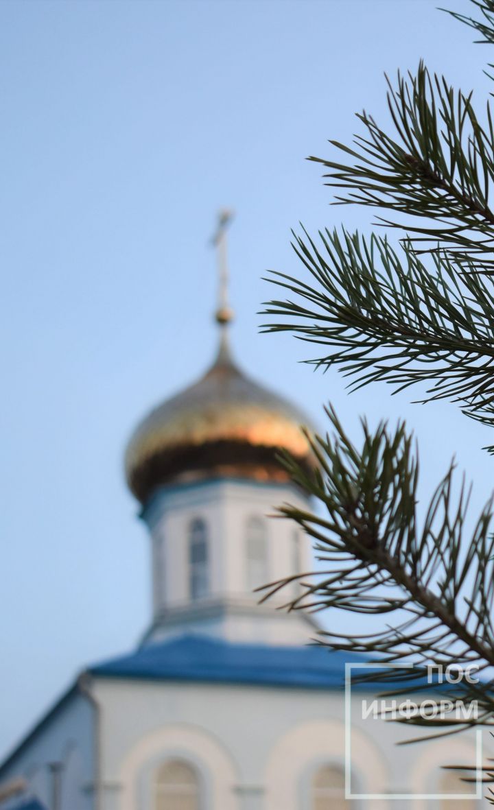 Православные верующие отмечают вербное воскресенье