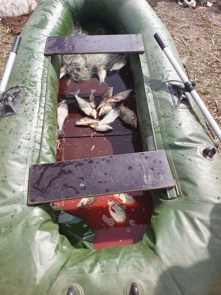 В ходе операции «Нерест» нижнекамские полицейские выявили браконьеров