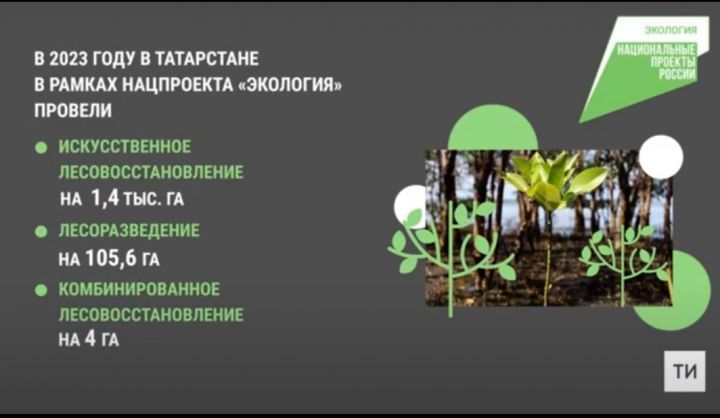 В Татарстане по нацпроекту «Экология» провели работы по воспроизводству лесов на 1523 га