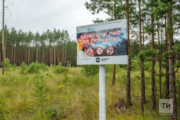 В Татарстане из-за пожарной опасности снова вводят ограничение на пребывание в леса