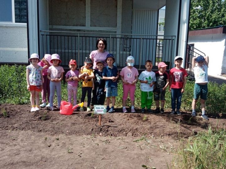 Дети в детском саду. Посадка деревьев в детском саду. Дети садят сад. Дет садик 168 Казань.