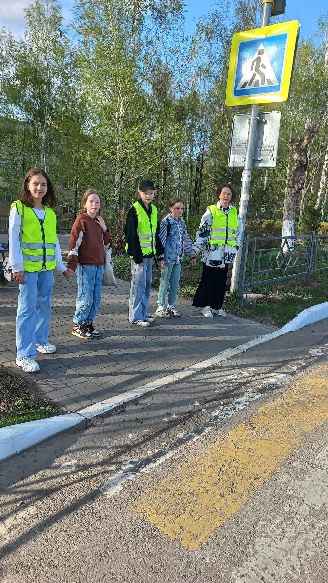 Обучающиеся камполянской школы №1 провели акцию по безопасности дорожного движения