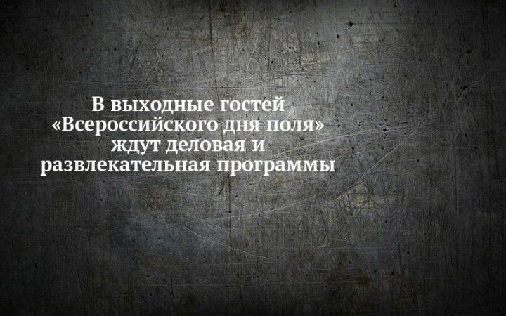В выходные посетителей «Всероссийского дня поля» ждут деловая и развлекательная программы