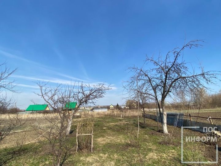 Осень — пора заняться обрезкой плодовых деревьев в саду