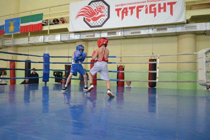 В Камских Полянах прошло Первенство НМР РТ по боксу