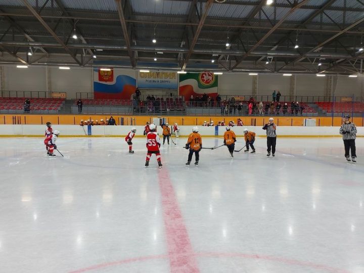 В ледовом дворце «Олимпия» прошло Первенство РТ по хоккею