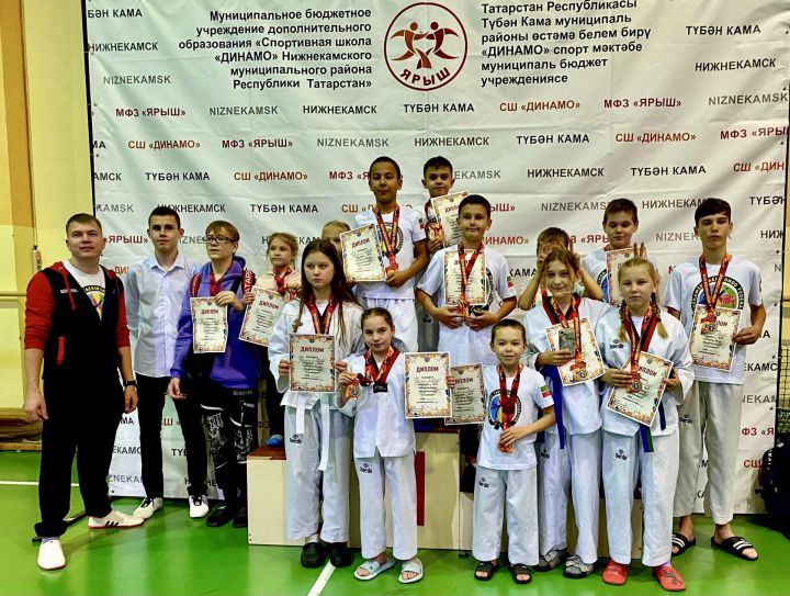 Тхэквондисты Камских Полян приняли участие в открытом турнире по тхэквондо «Нижнекамская осень»