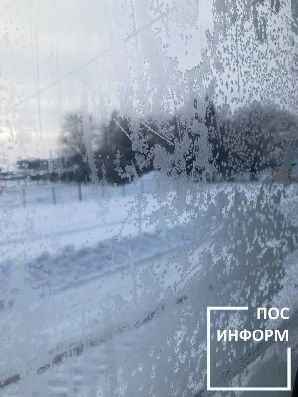 Творчество жительницы Камских Полян Светланы Бадретдиновой