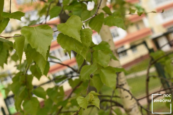 Долгожданное тепло возвращается в Камские Поляны