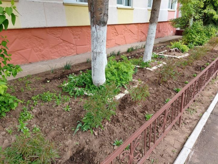 Сотрудники Центра детского творчества «Радуга» украсили цветами прилегающую территорию