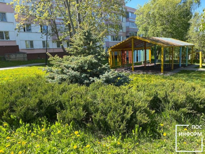 Жара и грозы будут мучить жителей Татарстана и на этой неделе