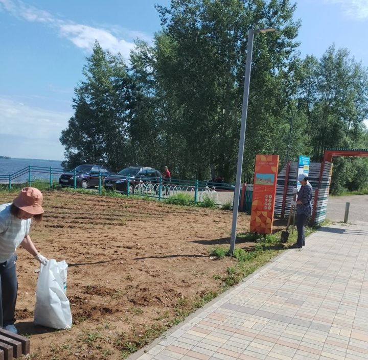 Камполянцы очистили территорию пляжа