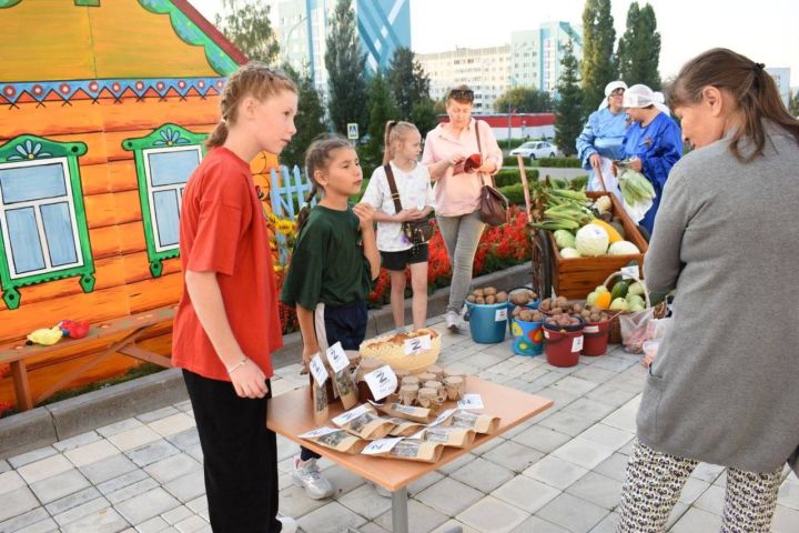 В честь  образования Республики Татарстан на площадке культурного центра «Чулман-Су» состоялся концерт