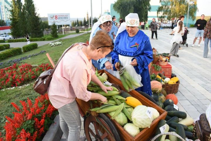 В честь  образования Республики Татарстан на площадке культурного центра «Чулман-Су» состоялся концерт