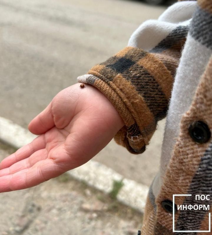 А вы знаете почему окраску божьей коровки называют предупреждающей?