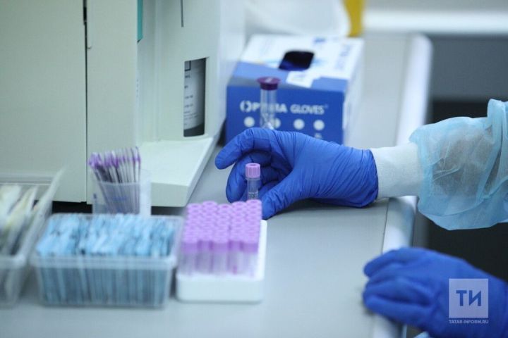 В Татарстане зарегистрировано 9 случаев клещевого вирусного энцефалита