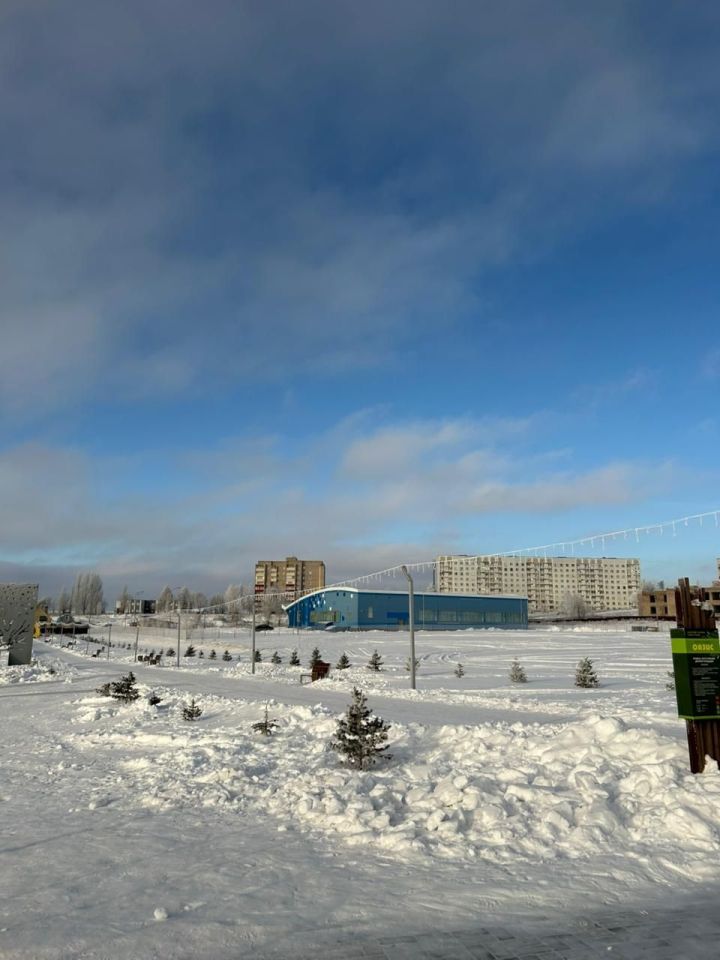 Жители Камских Полян поделились своими планами на новогодние каникулы