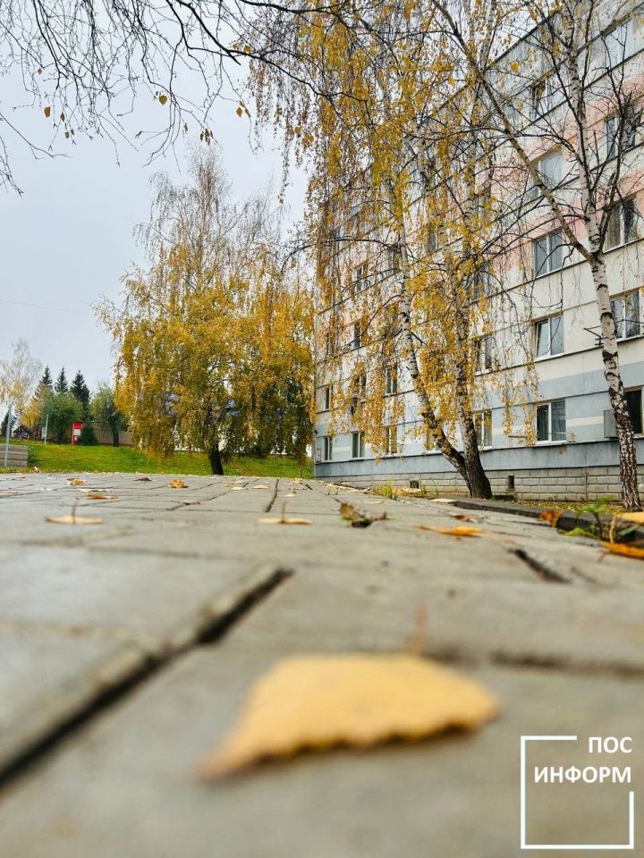 В Татарстане ожидается потепление в выходные