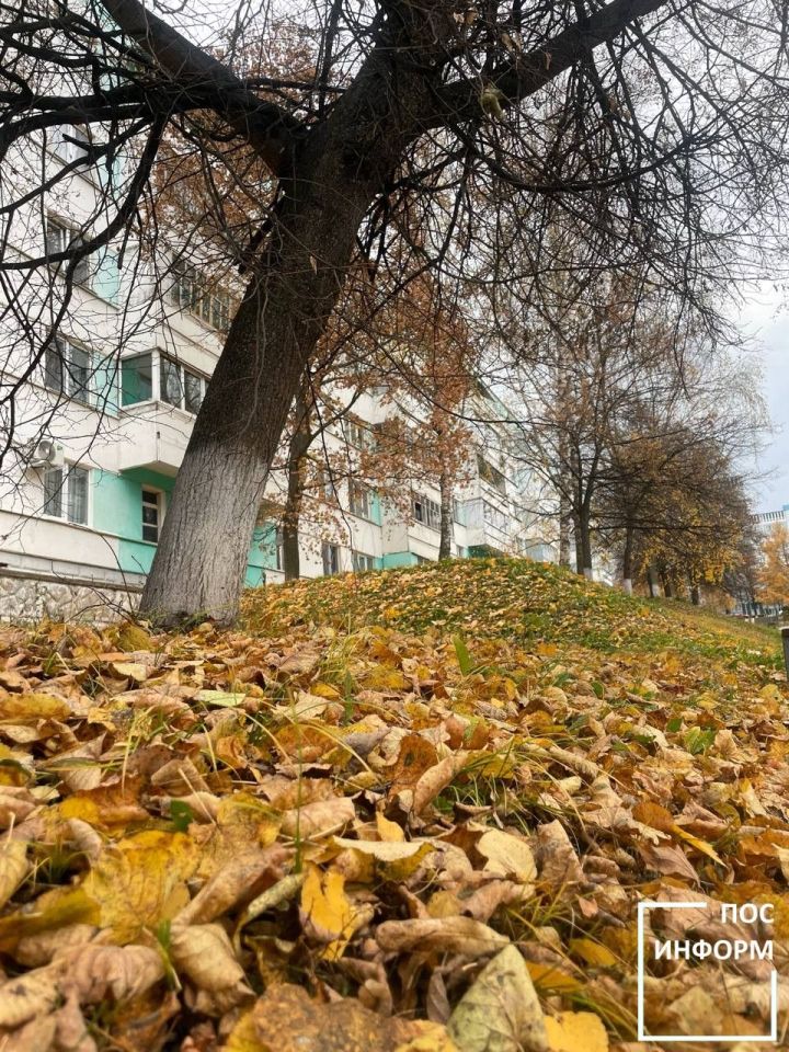 Яков Студеный 22 октября: народные приметы, традиции и строгие запреты дня