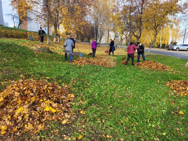 В Камских Полянах продолжается осенний санитарный месячник