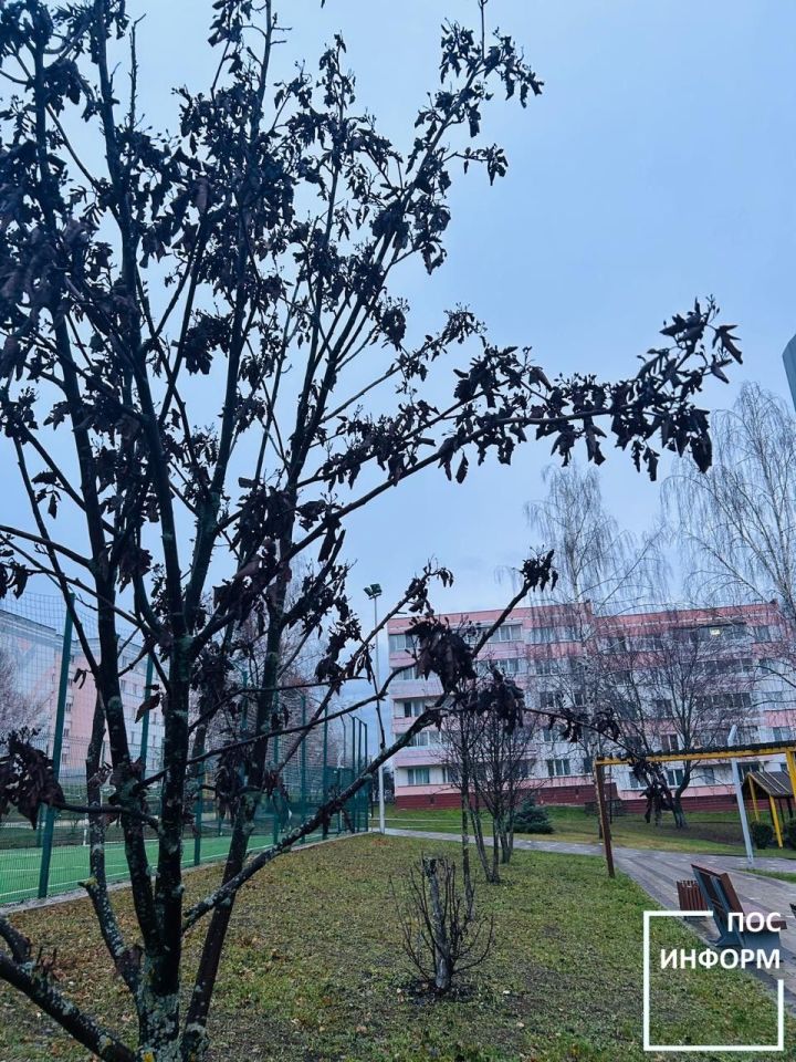 В Камских Полянах мужчина попал в больницу после пожара в многоэтажном доме