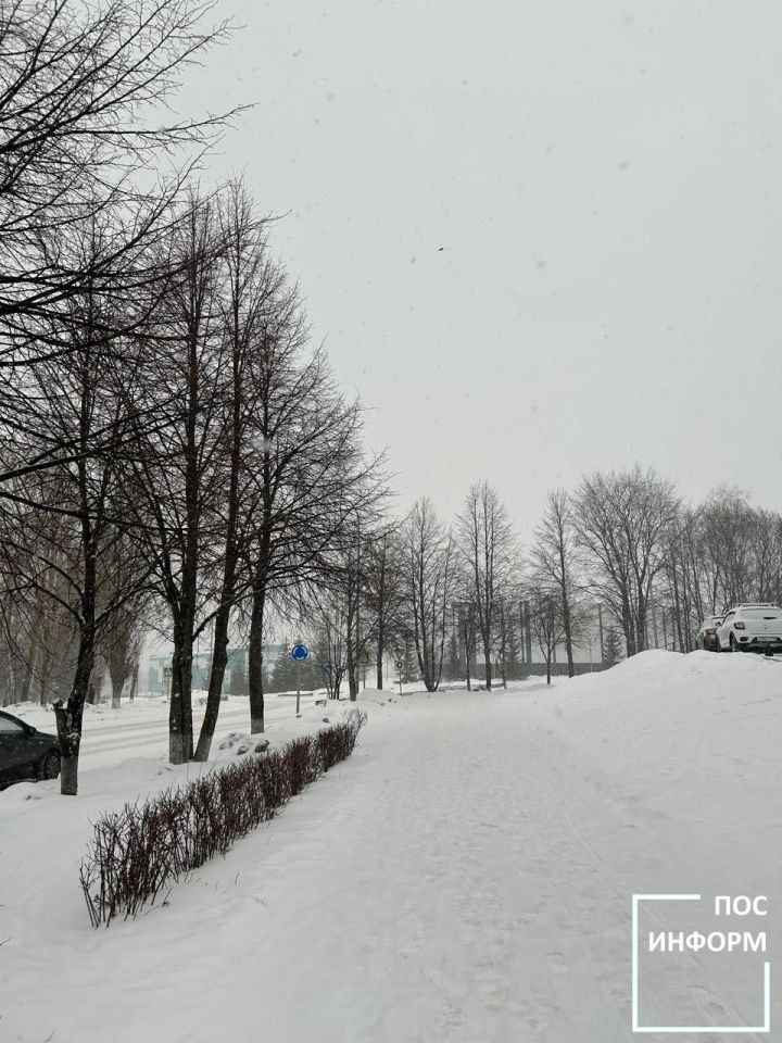 Начало весны в Татарстане обещает быть неожиданным